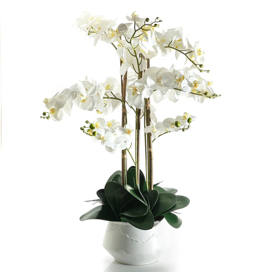 White Orchid - 90cm