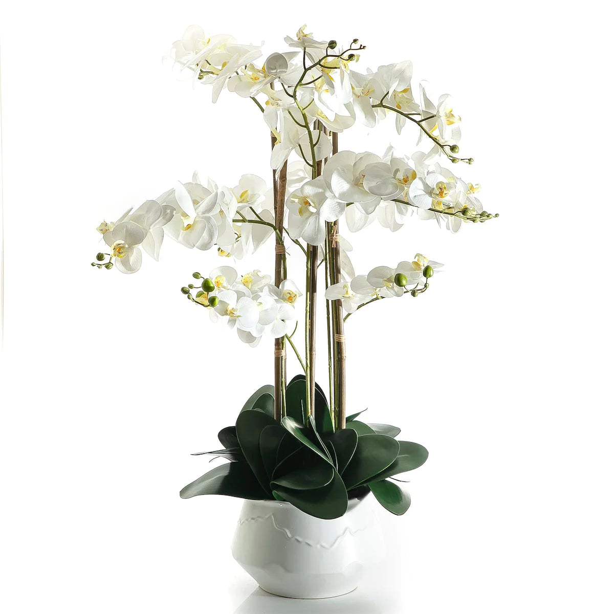 White Orchid - 90cm