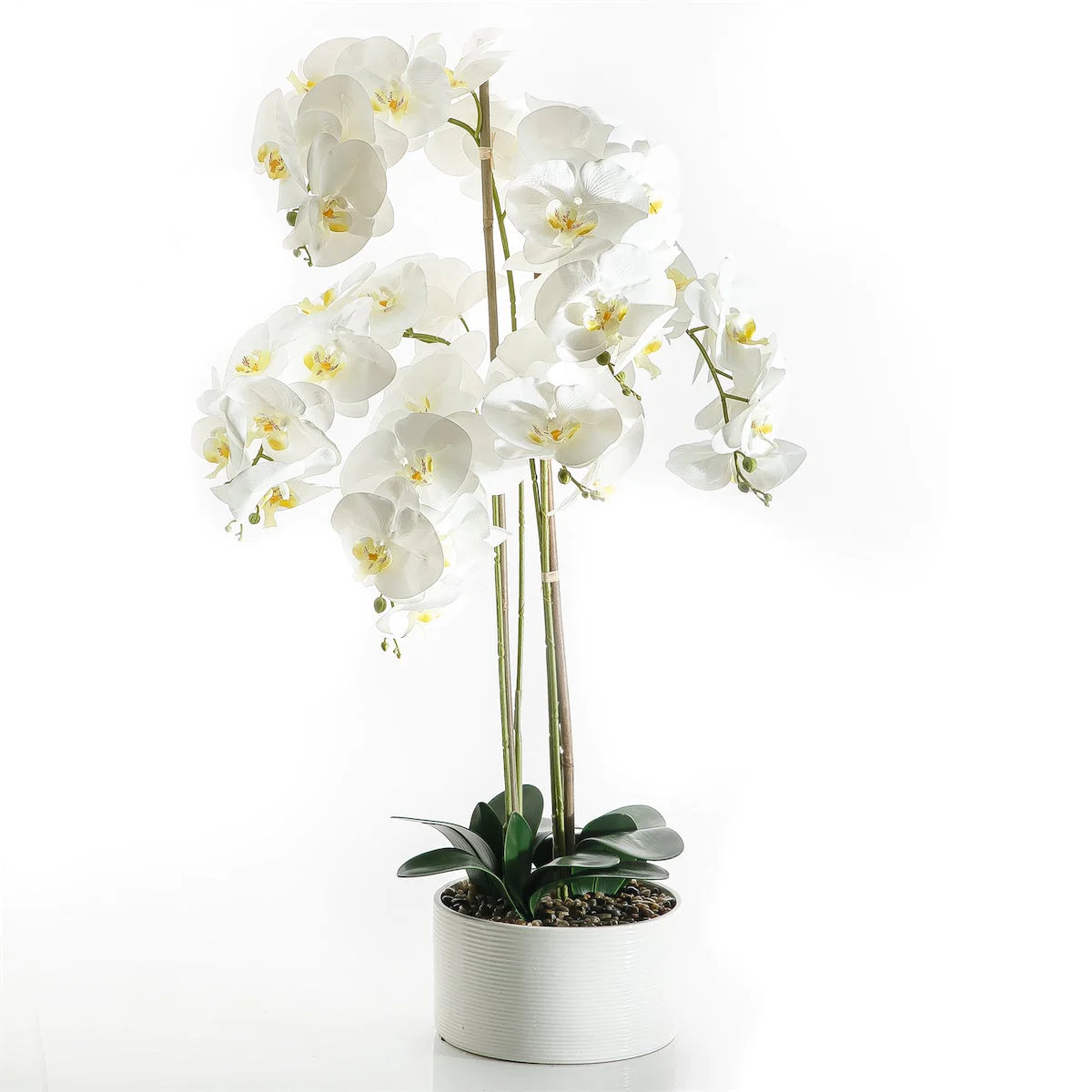 White Orchid - 100cm