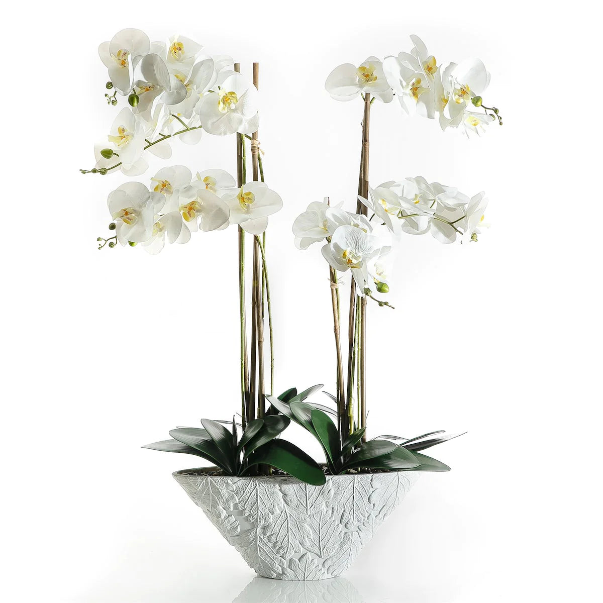 White Orchid - 95cm
