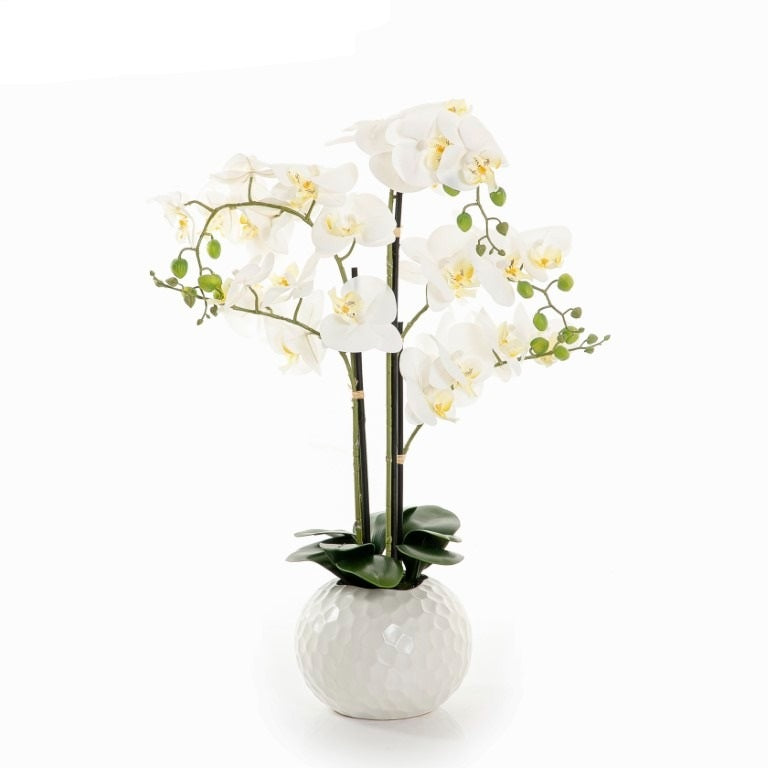 White Orchid with Round Pot - 71cm