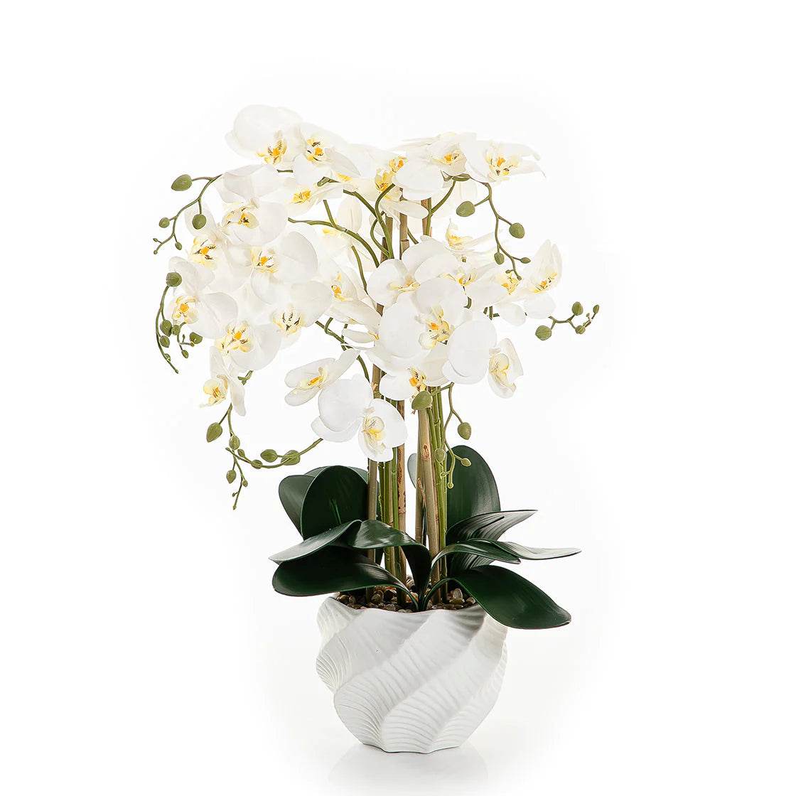 White Orchid - 61cm