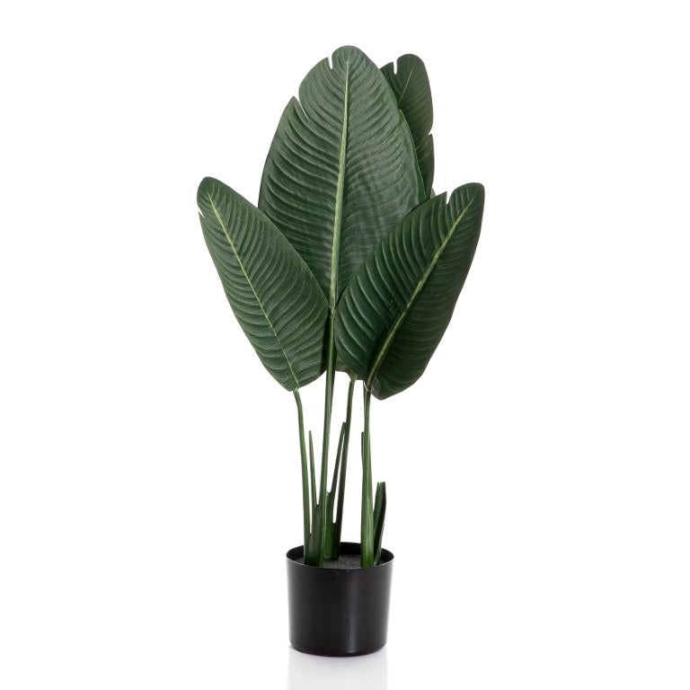 Indoor Tree - 80cm