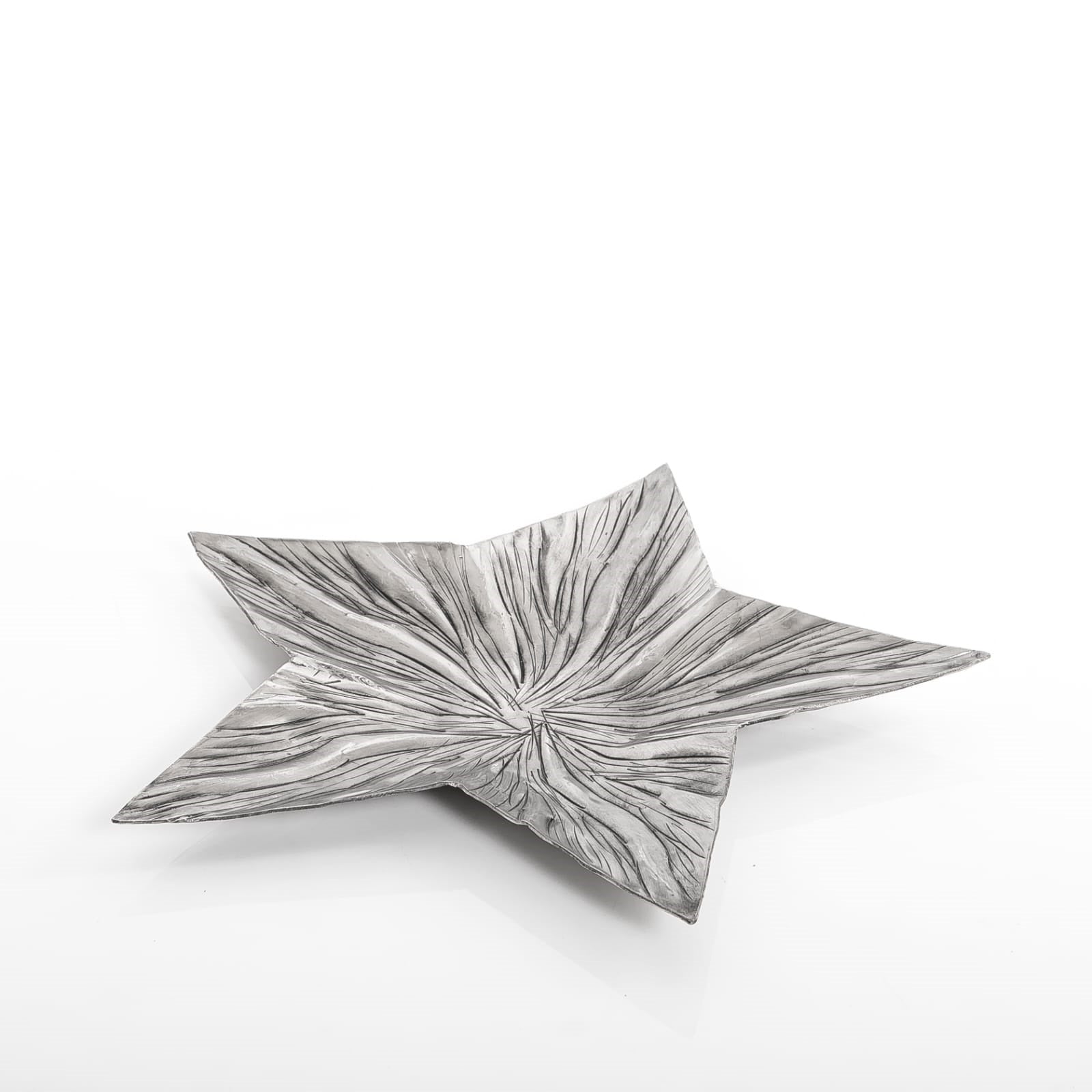 Star Shape Metal Tray