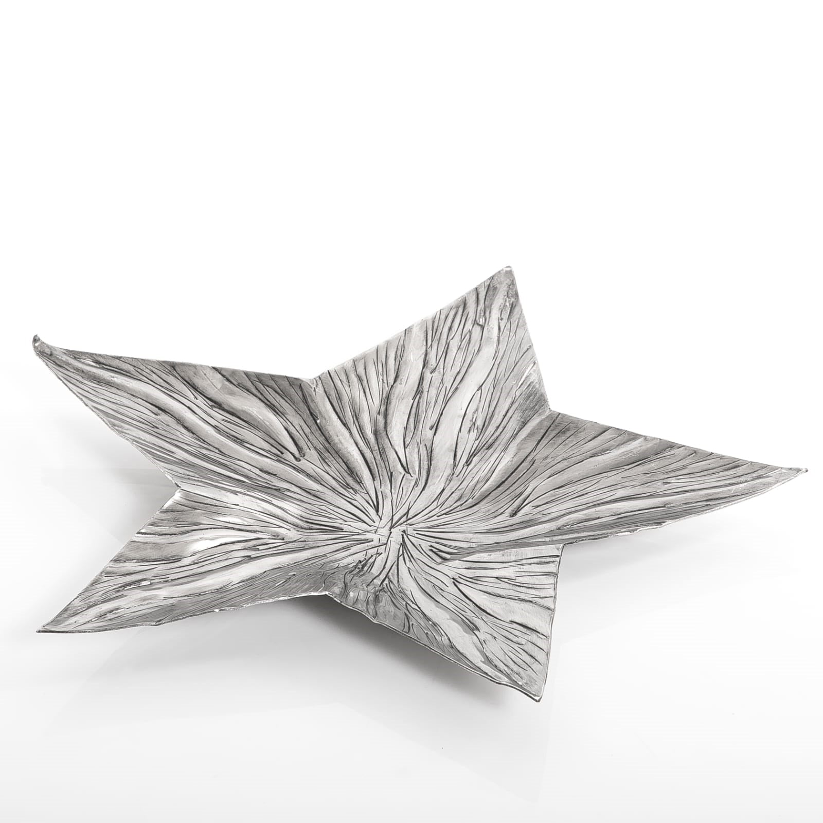Star Shape Metal Tray
