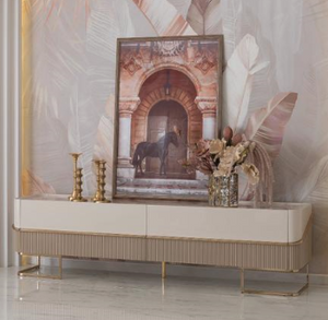 OSCAR TV Unit (NEW ARRIVAL)